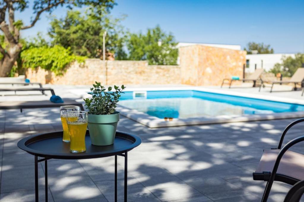 Cesare Apartment, With Swimming Pool And Sea View Ližnjan
